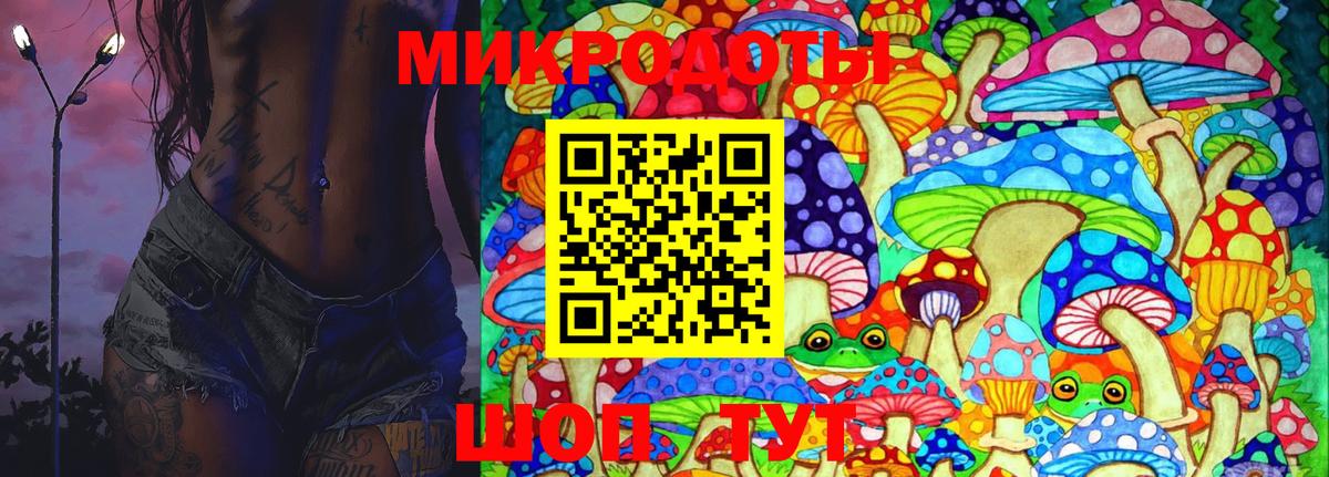 Псилоцибиновые грибы Psilocybe  Вход с VPN  Тосно 